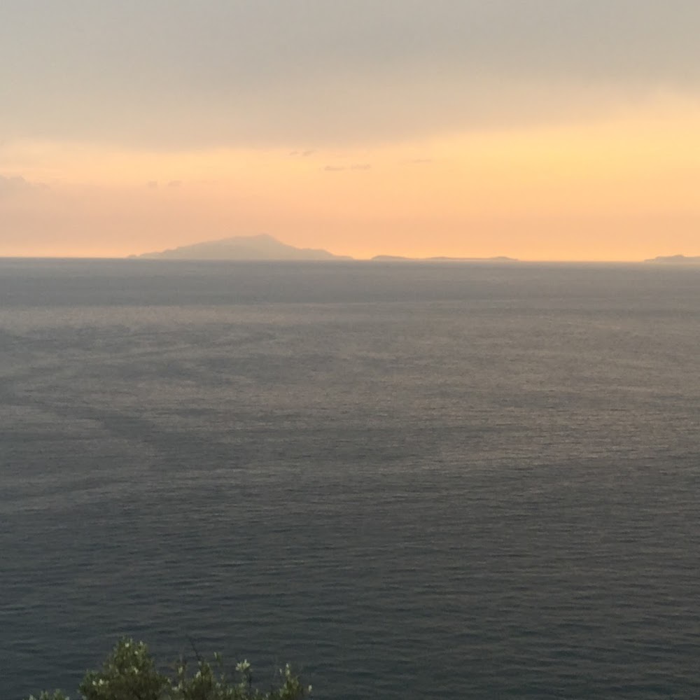 Meet your Posher, Juliette